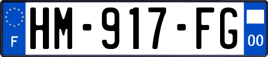 HM-917-FG