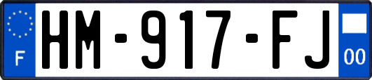 HM-917-FJ
