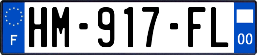 HM-917-FL