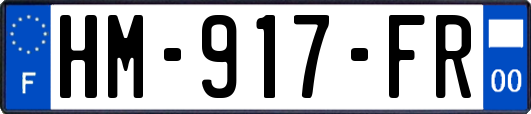 HM-917-FR