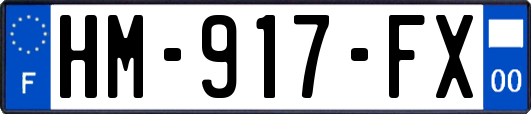 HM-917-FX