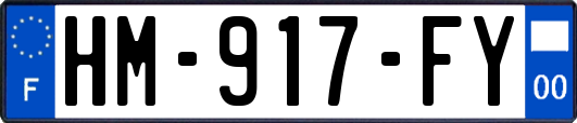 HM-917-FY