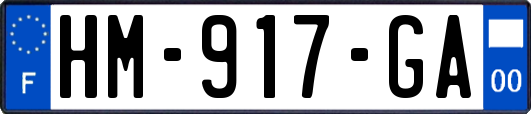 HM-917-GA