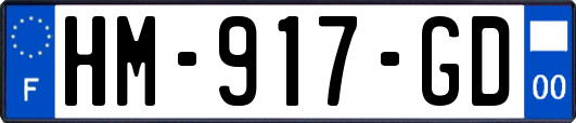 HM-917-GD