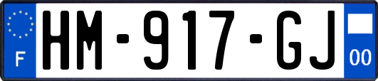HM-917-GJ