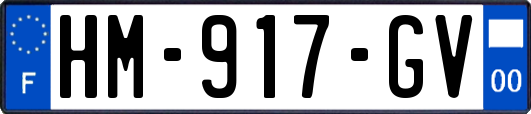 HM-917-GV