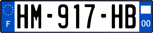 HM-917-HB