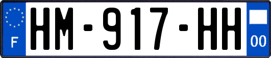 HM-917-HH