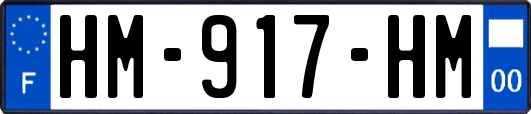 HM-917-HM