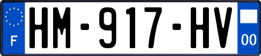 HM-917-HV