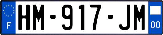 HM-917-JM