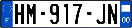 HM-917-JN