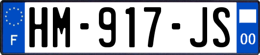 HM-917-JS