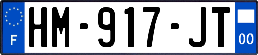 HM-917-JT