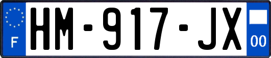 HM-917-JX