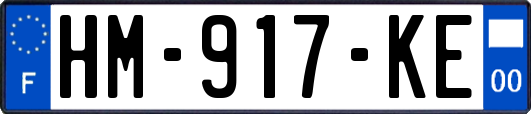 HM-917-KE