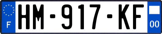 HM-917-KF