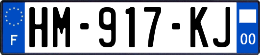 HM-917-KJ