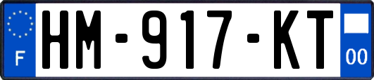 HM-917-KT