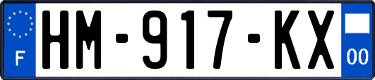 HM-917-KX