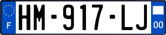 HM-917-LJ