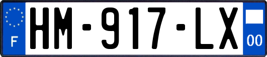 HM-917-LX