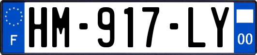 HM-917-LY