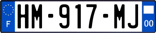 HM-917-MJ
