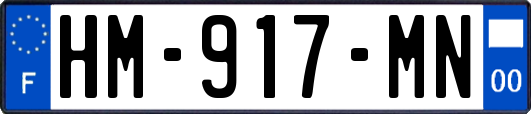 HM-917-MN