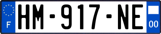 HM-917-NE