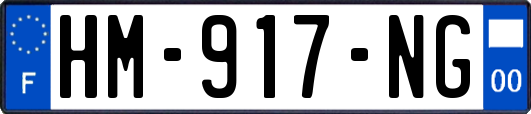 HM-917-NG