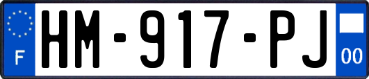 HM-917-PJ