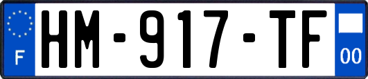 HM-917-TF