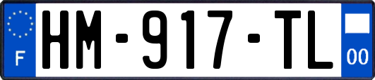 HM-917-TL