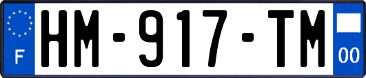HM-917-TM