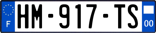 HM-917-TS