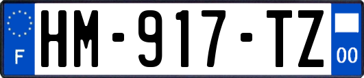 HM-917-TZ
