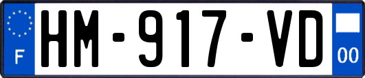 HM-917-VD