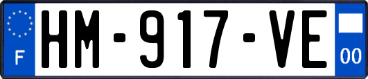 HM-917-VE