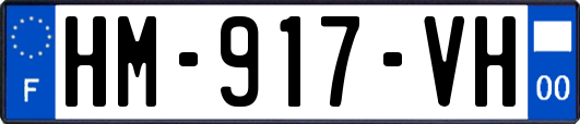 HM-917-VH