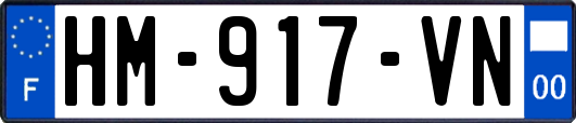 HM-917-VN