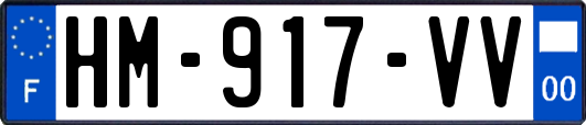 HM-917-VV