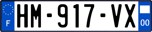 HM-917-VX