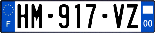 HM-917-VZ