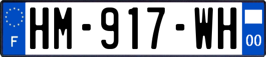 HM-917-WH