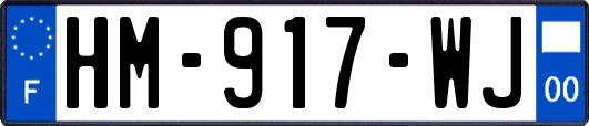 HM-917-WJ