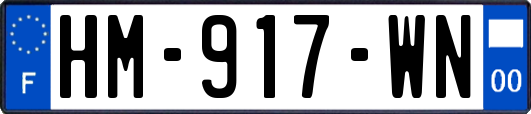 HM-917-WN