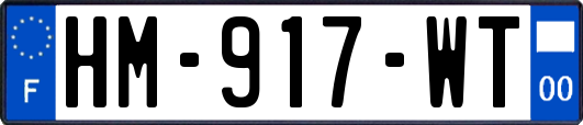 HM-917-WT