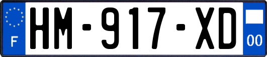 HM-917-XD