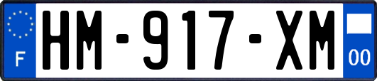 HM-917-XM